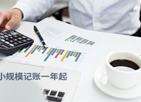 小规模记账（1年付）